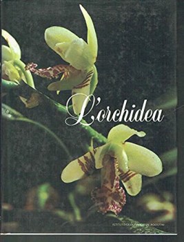 orchidea