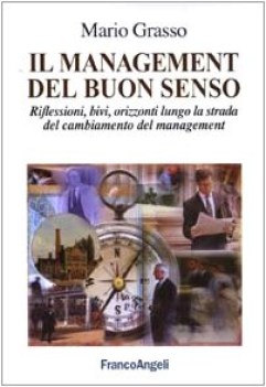 management del buon senso riflessioni bivi orizzonti lungo la st