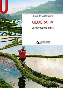 geografia un\'introduzione critica