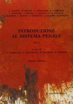 Introduzione al sistema penale vol 1