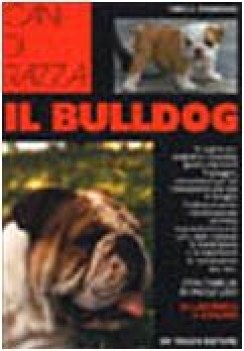 bulldog