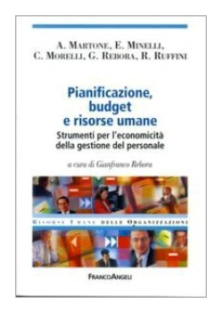 pianificazione budget e risorse umane strumenti per leconomicit d