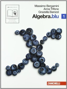 algebra blu 1 fc19 NO PRENO