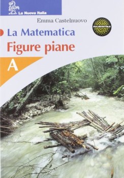 matematica (la) - figure piane b