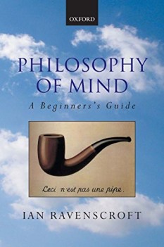 philosophy of mind a beginners guide