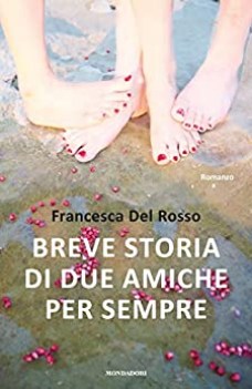 breve storia di due amiche per sempre