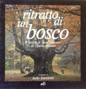 ritratto di un bosco