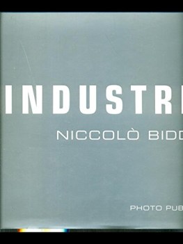 industria ediz illustrata