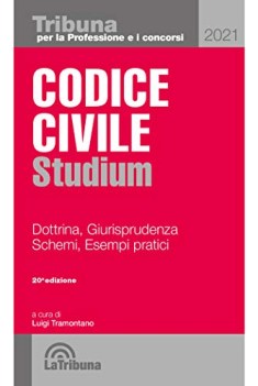 codice civile studium dottrina giurisprudenza schemi esempi pratic