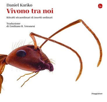 vivono tra noi ritratti straordinari di insetti ordinari ediz illus