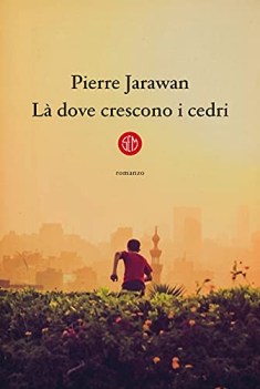 la dove crescono i cedri