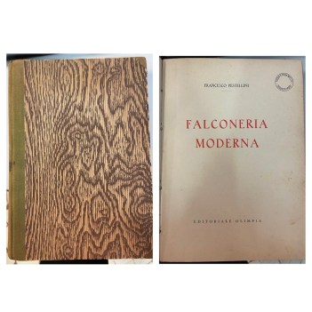 falconeria moderna