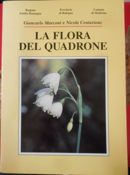 flora del quadrone