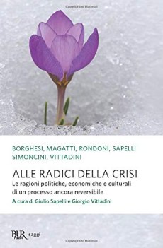 alle radici della crisi