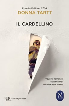 cardellino