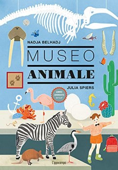 museo animale ediz a colori