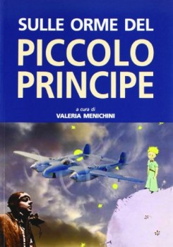 sulle orme del piccolo principe ediz illustrata