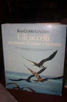 uccelli attraverso il mare e la terra