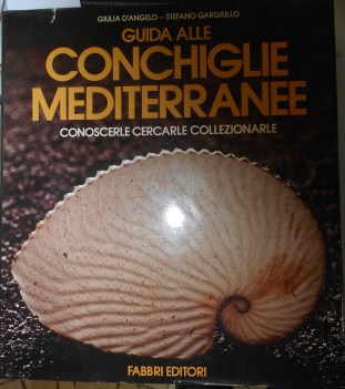 guida alle conchiglie mediterranee  conoscere cercarle collezionarle