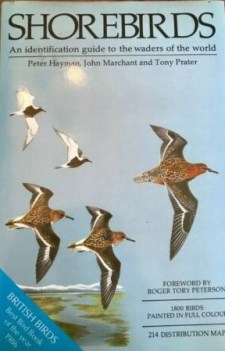 shorebirds an identification guide to the waders of the world