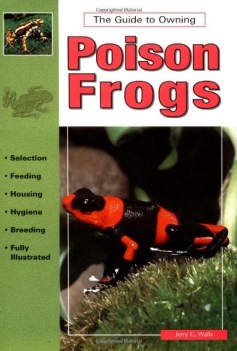 keeping poison frogs