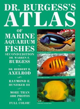 dr burgesss atlas of marine aquarium fishes