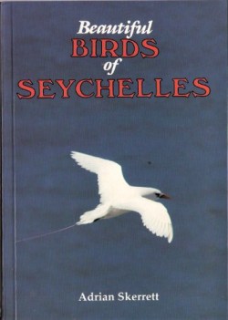 beautiful birds of seychelles