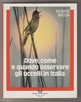 dove come e quando osservare gli uccelli in italia