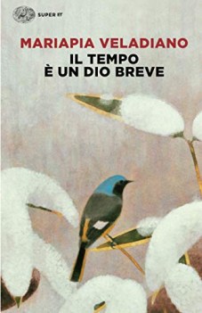 tempo e un dio breve