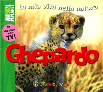 ghepardo