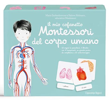 mio cofanetto montessori del corpo umano