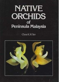 native orchids of peninsular malaysia