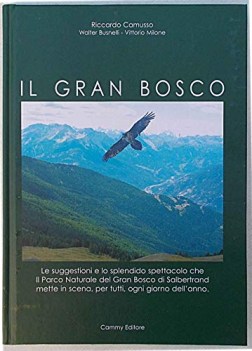 gran bosco le suggestioni e lo splendido spettacolo