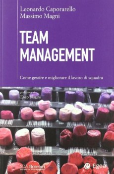 team management come gestire e migliorare il lavoro di squadra