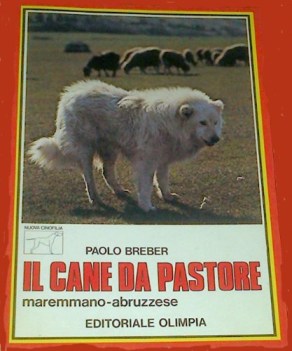 cane da pastore maremmano abruzzese