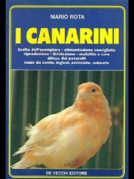 canarini