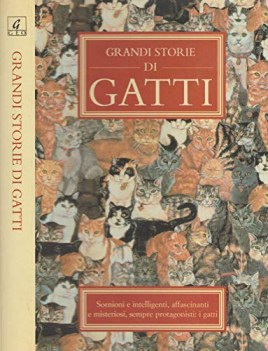 grandi storie di gatti sornioni e intelligenti affascinanti e mister