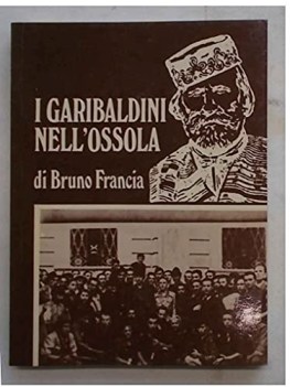 garibaldini nell\'ossola