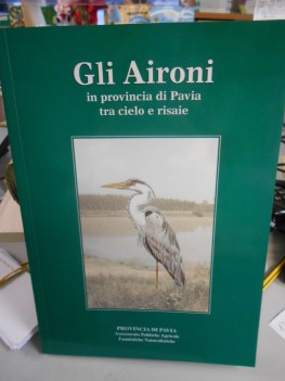 aironi in provincia di pavia tra cielo e risaie