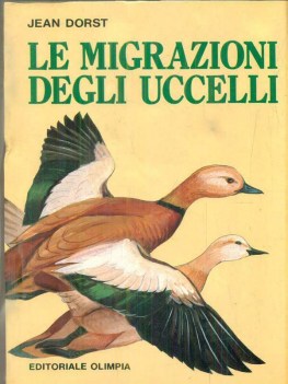 migrazioni degli uccelli