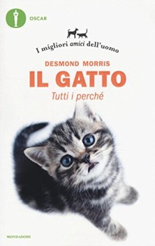 gatto tutti i perche i migliori amici dell\'uomo