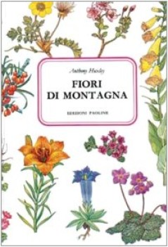 fiori di montagna