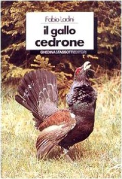 gallo cedrone