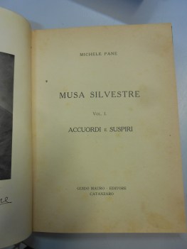 musa silvestre accuordi e suspiri vol.1