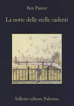 notte delle stelle cadenti