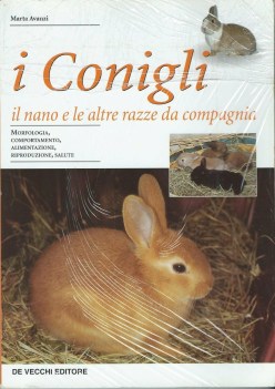 coniglio il nano e le altre razze da compagnia