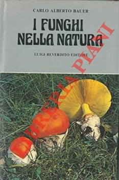 funghi nella natura