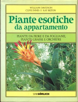 piante esotiche da appartamento