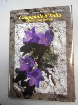 campanule d\'italia e dei territori limitrofi