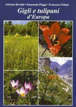 gigli e tulipani d\'europa